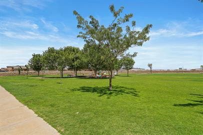 Building Photo - 4-Bedroom with 2 Full Baths in Northeast, El Paso!