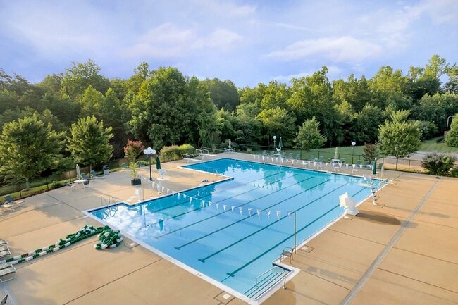 Building Photo - Cat-Friendly Forest Lakes South Home