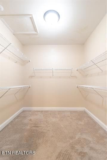 Building Photo - 306 White Cap Ln