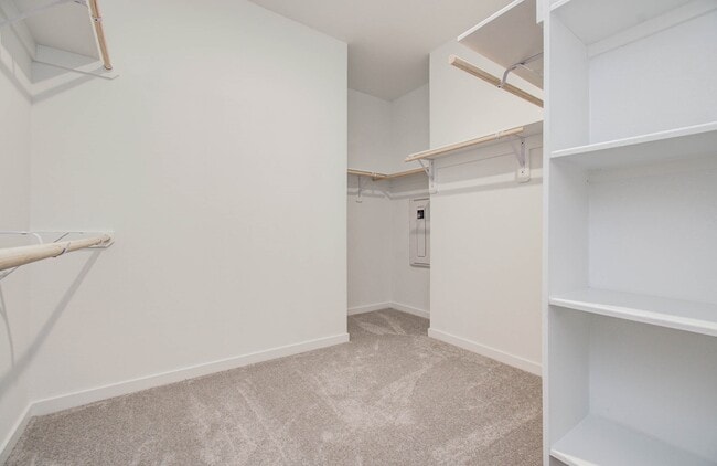 Building Photo - 26835 Zebra Grass Dr