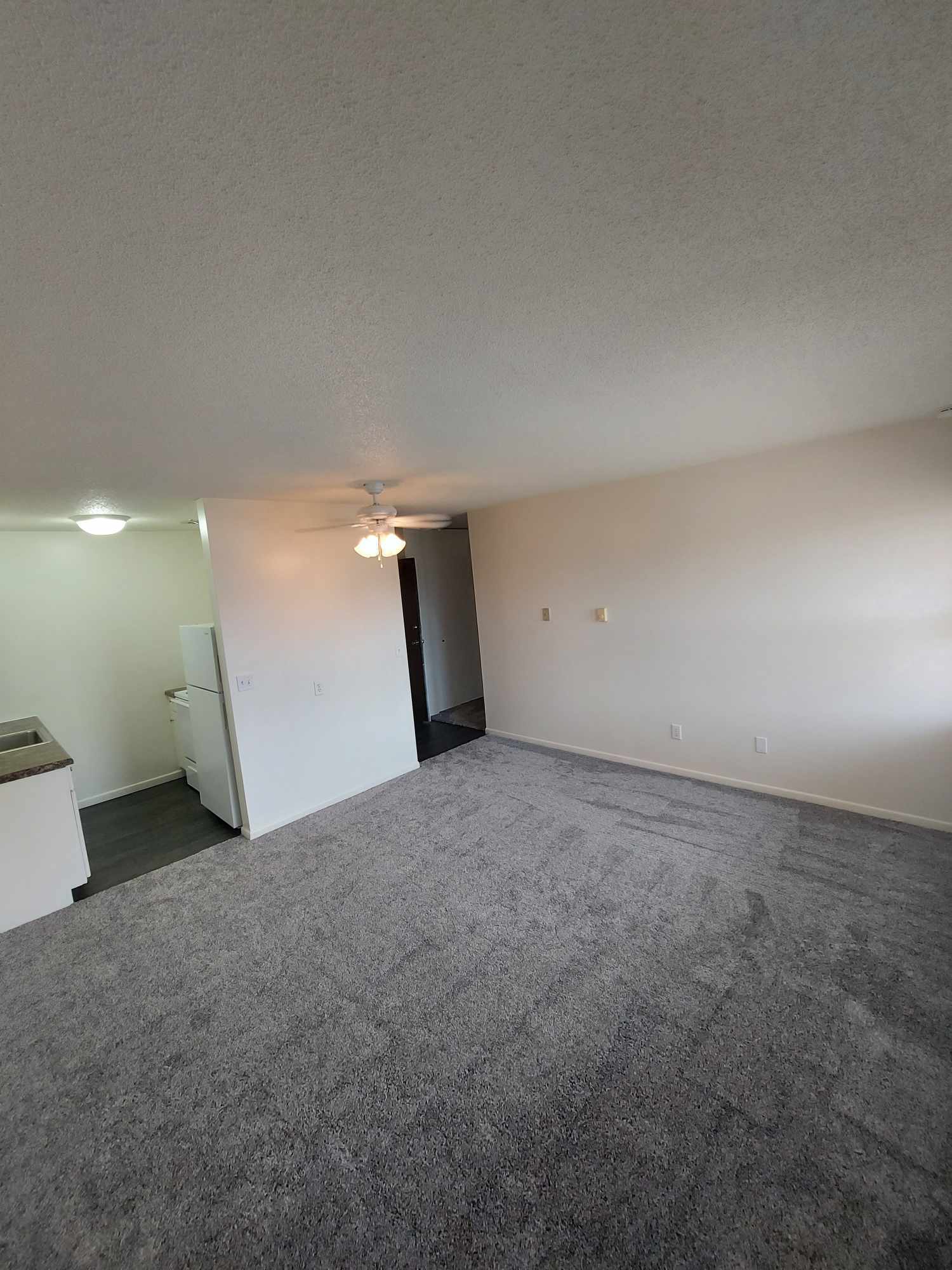 Upgraded carpet, paint and fixtures - 530 Korb St