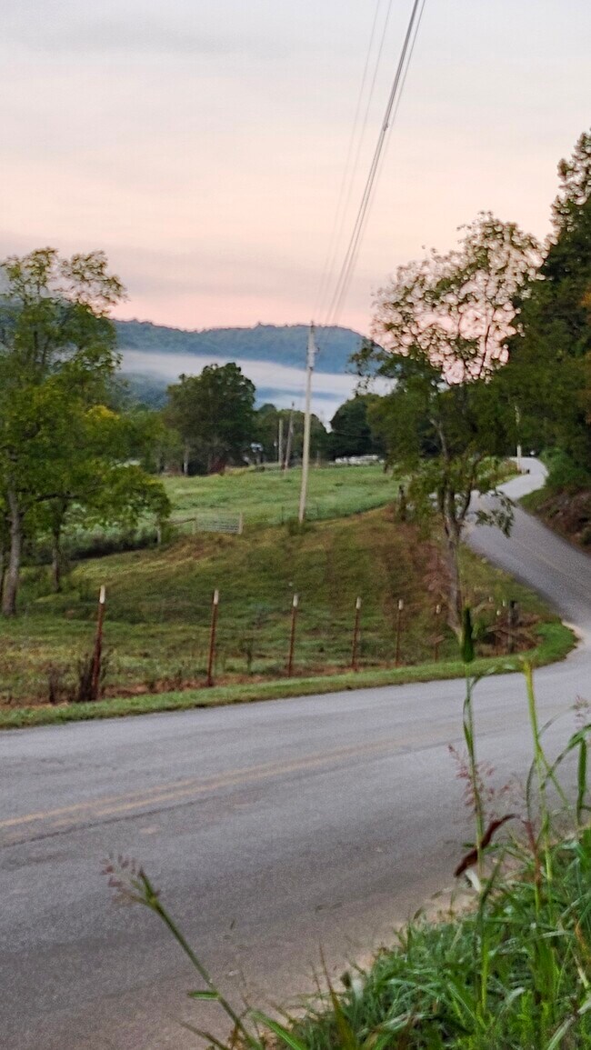 Building Photo - 5269 Vardy Blackwater Rd