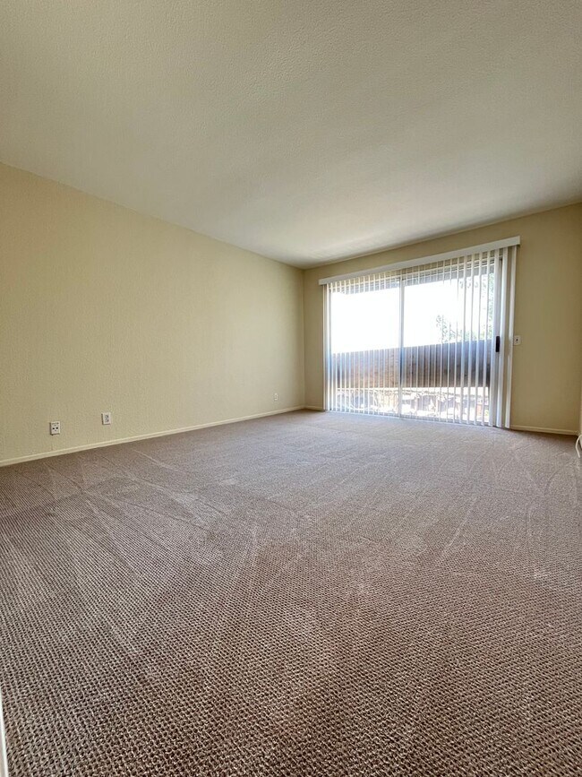 Building Photo - JUST REFURBISHED SPACIOUS DUAL MASTER COND...