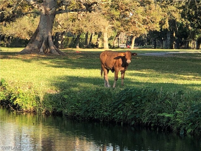Building Photo - 17651 Cypress Creek Rd