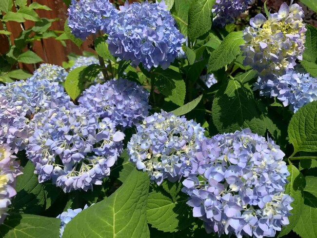 Building Photo - 15 Ferry St