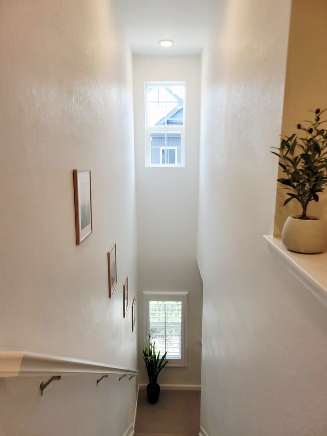 Building Photo - 478 Millwall Cir