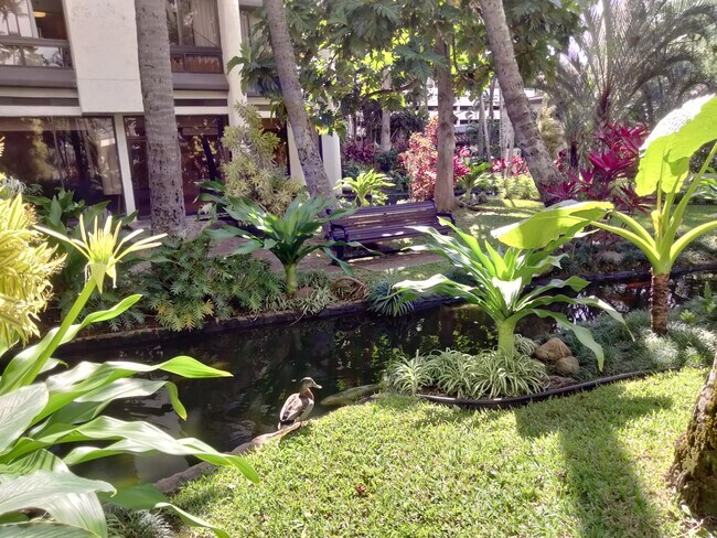 Gardens 7 - 300 Wai Nani Way