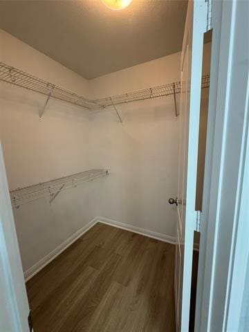 Building Photo - 2132 Mulberry Dr