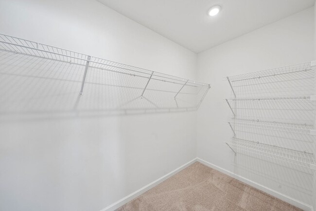 Building Photo - 3517 Strawberry Patch Row