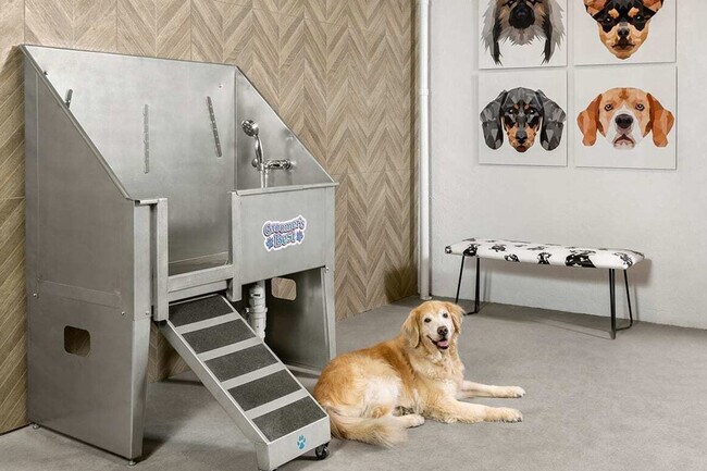 Building Photo - 350 S Jackson St