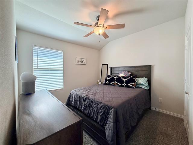 Building Photo - 6301 Spooky Cat Trl