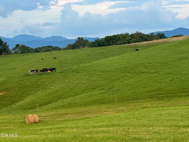 Building Photo - 3655 W Allens Bridge Rd