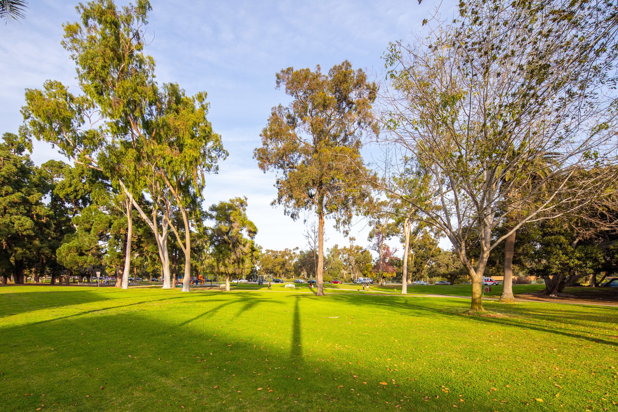 View from Front of Building - 3100 6th Ave