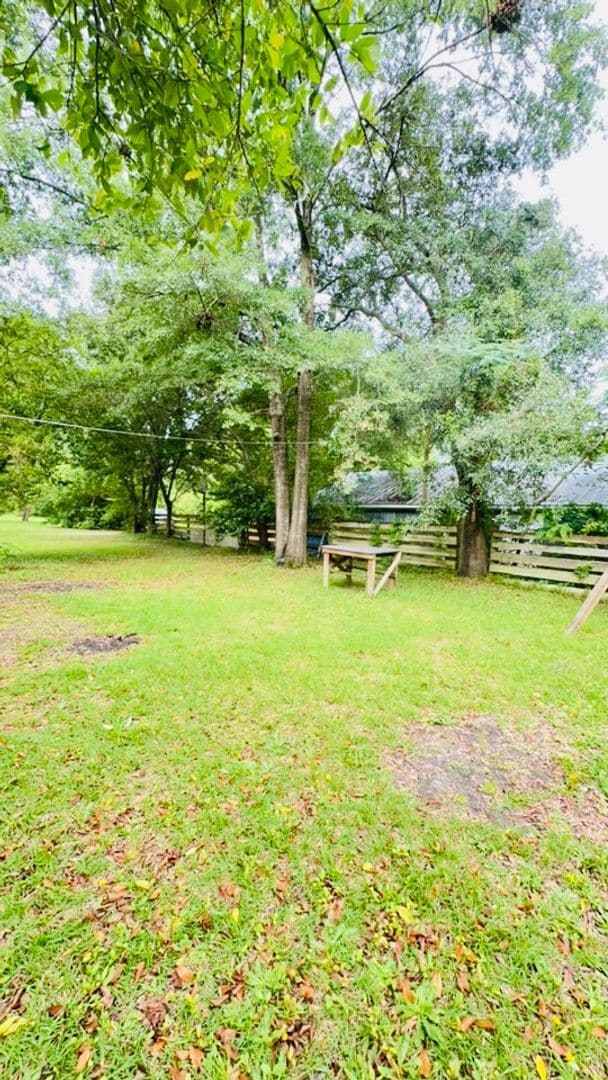 Building Photo - SEAGATE AREA - 1BD/1BA - Located just off ...