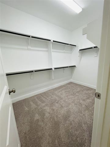 Building Photo - 2859 Trail Head Dr