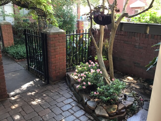 Carefree and tranquil garden that has something blooming almost all year long - 1103 Dulles Ave