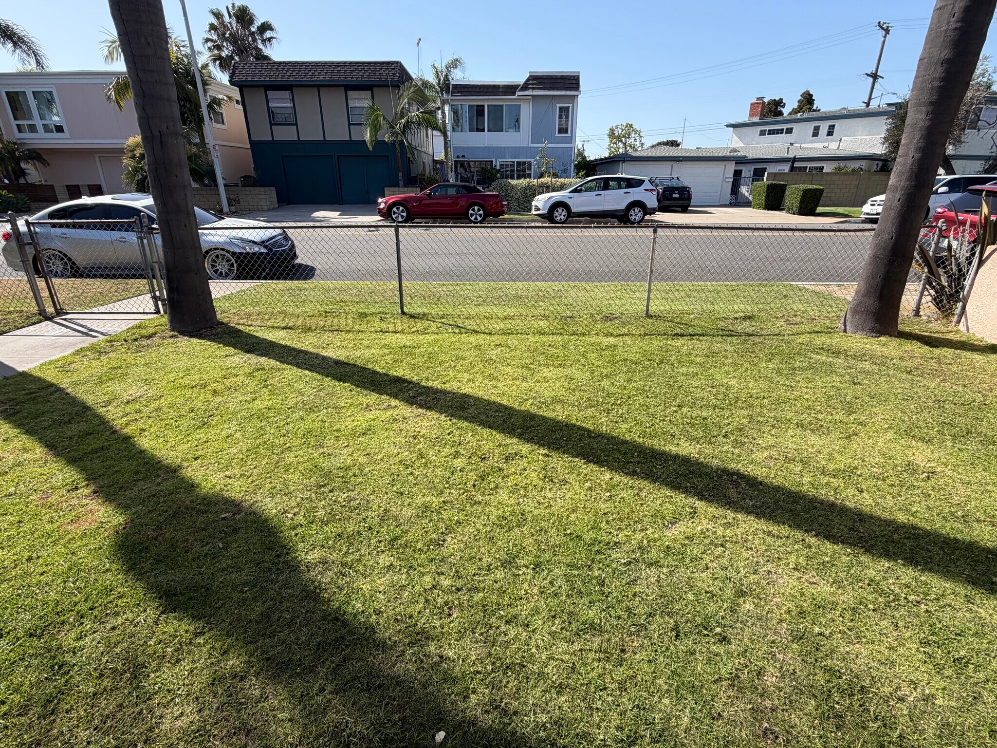 Front Yard - 820 Geneva Ave