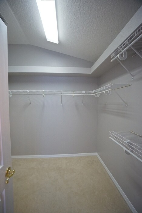 Building Photo - Beautiful home in The Enclave in Westchase