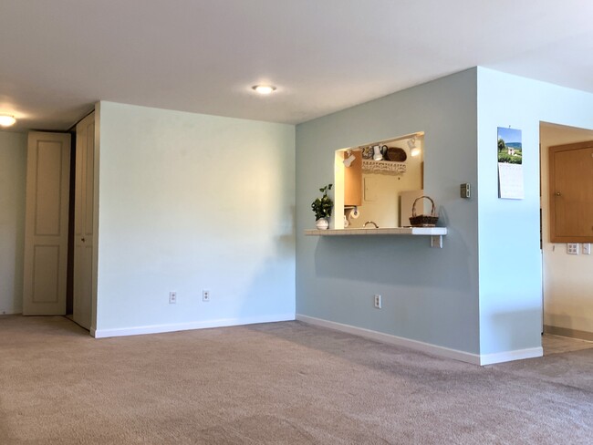 Breakfast Bar & Foyer closet - 2227 Canyon Blvd