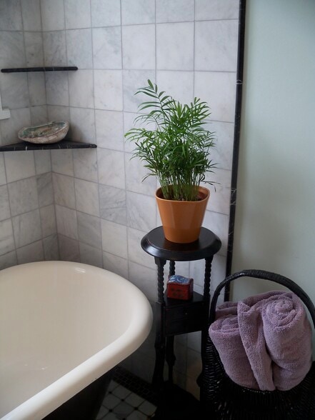 Tub/Shower - 137 4th St