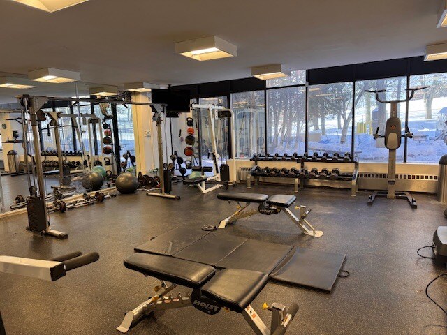 Building Photo - 30 Daniels St