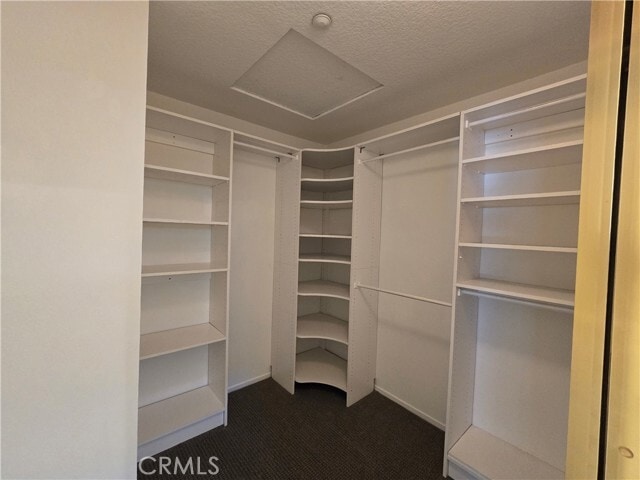 Building Photo - 3317 E Metcalf Cir