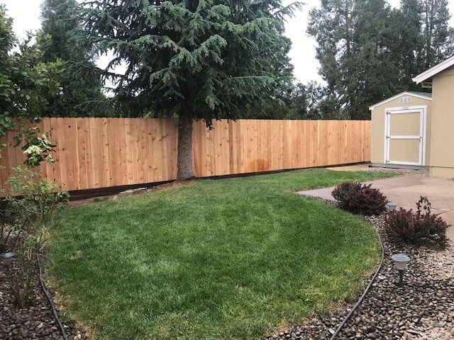 Building Photo - 1335 Sandy Ln