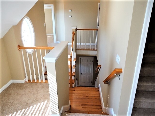 Building Photo - 905 Alba Rose Lane