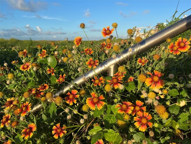 Building Photo - 1101 Church St