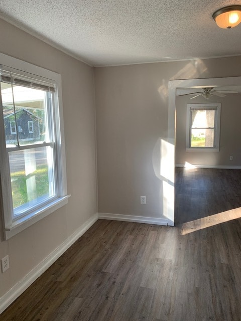 Building Photo - 905 Pansy Ct