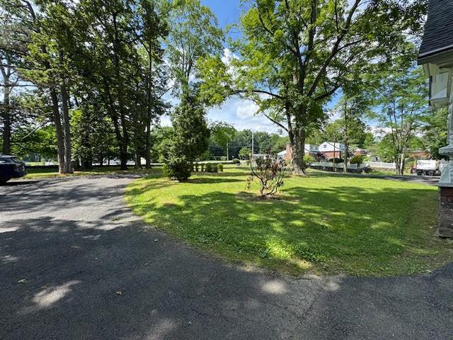 Building Photo - 11 Tree Haven Ln
