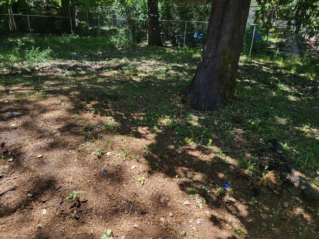 Building Photo - 2 bedroom 2 bath House for Rent in Cave Junction