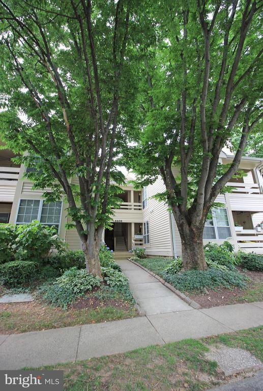 Building Photo - 6608 Jupiter Hills Cir