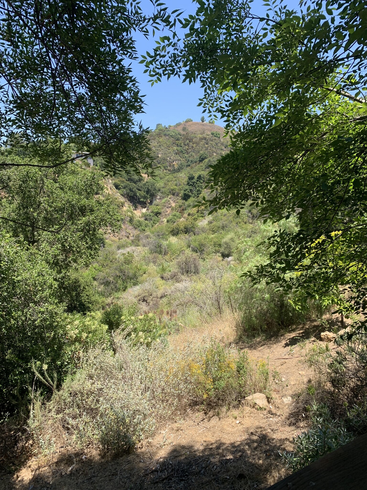 Building Photo - 1734 Topanga Skyline Dr