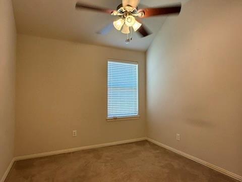 Building Photo - 909 Mangrove Dr