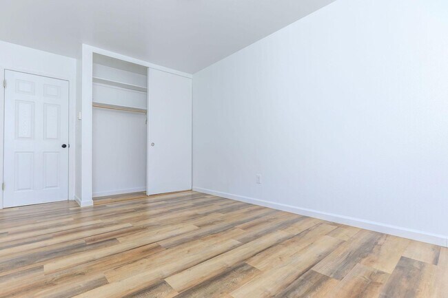 Interior Photo - Tiki Apartments