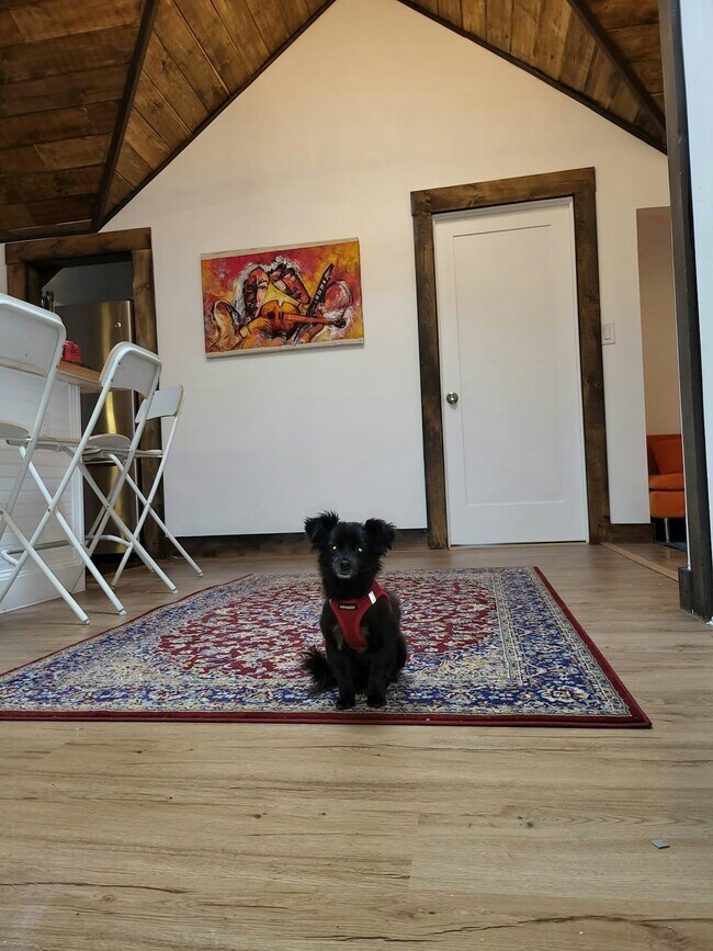 Building Photo - 1482 Cambridge St