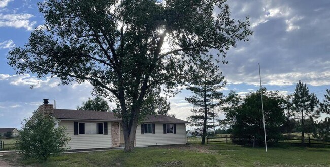 Primary Photo - 9949 Tammy Ln