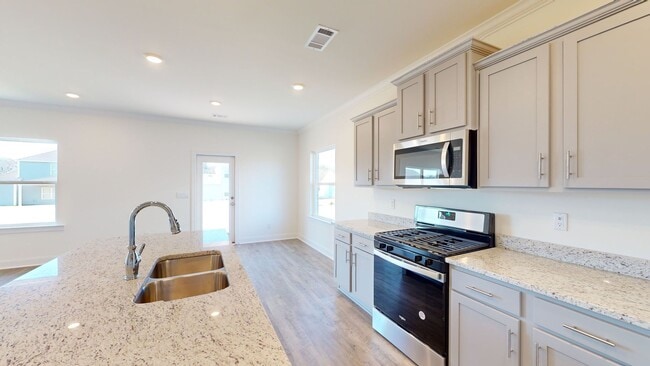Building Photo - Brand New Beautiful Home in Taylor Lakes
