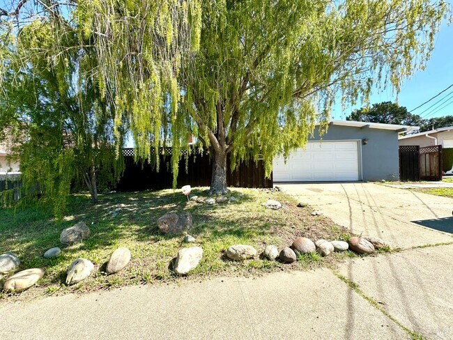 Building Photo - 1111 Marionola Way