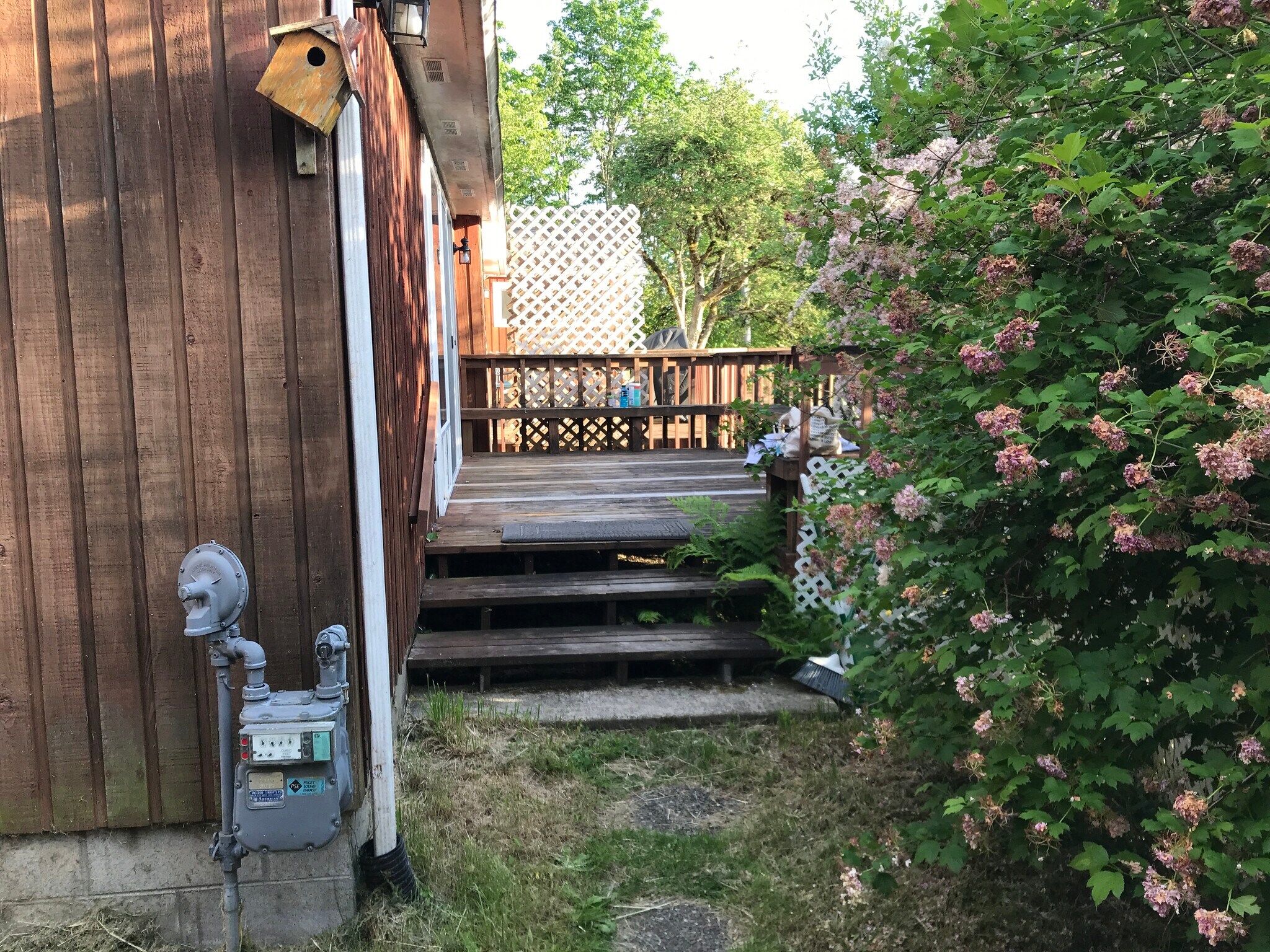Studio: steps from yard to deck - 1609 7th Ave SE