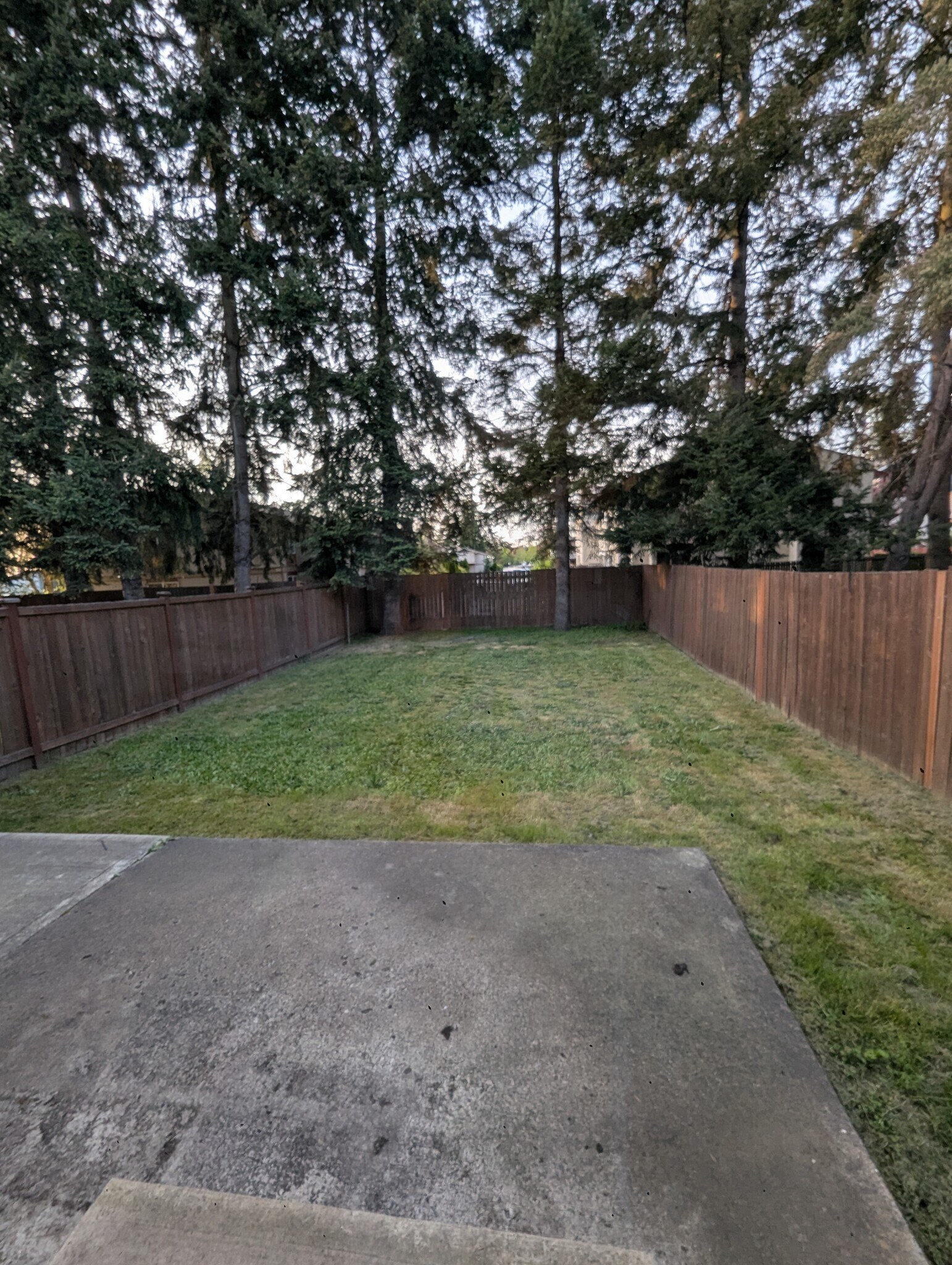 Backyard - 319 10th Ave SE