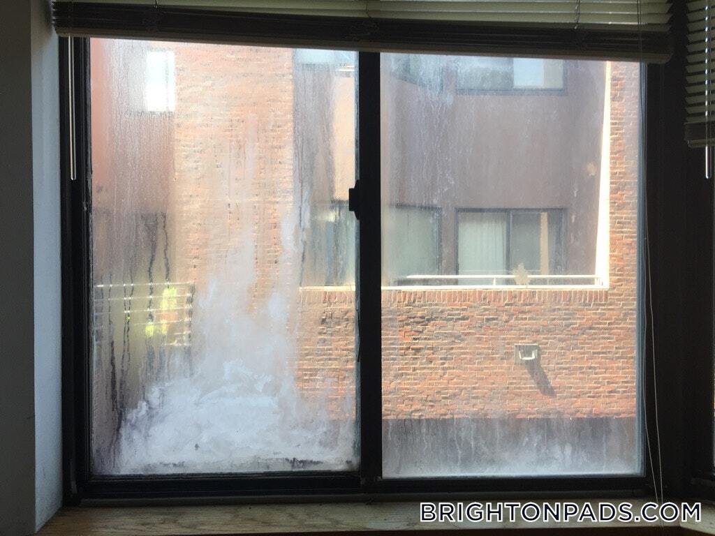 Building Photo - 147 Kelton St