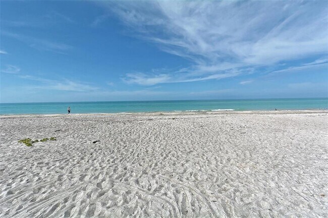 Building Photo - 3804 Gulf of Mexico Dr