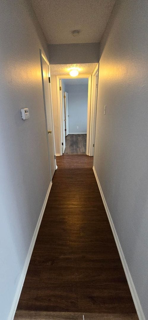 Building Photo - Renovated Two Bedroom Condo with Garage Space in Ladue School District