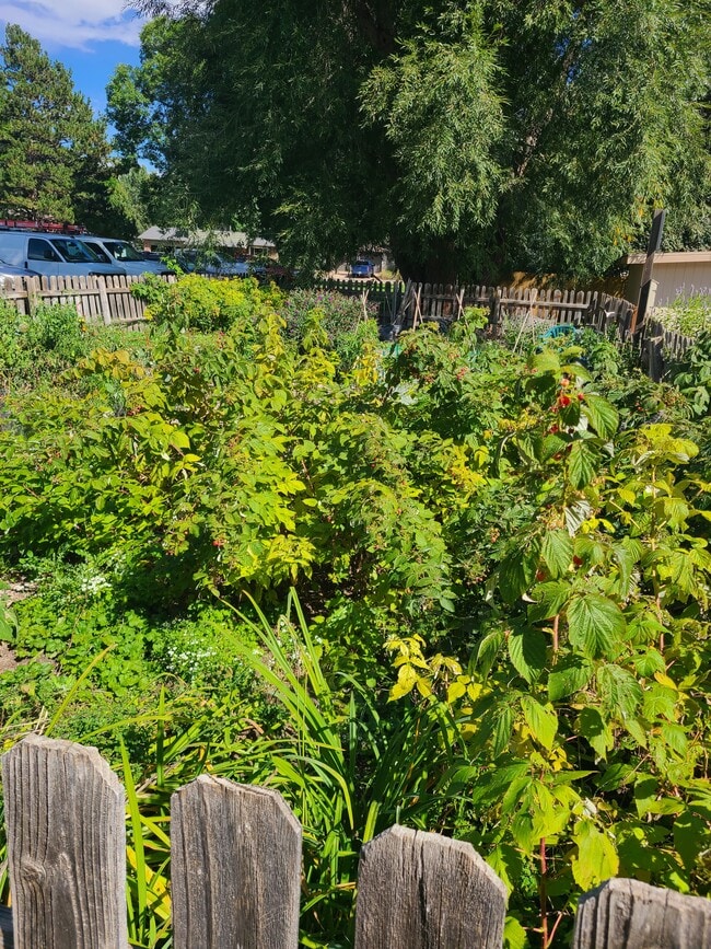 Building Photo - 1315 Kirkwood Dr