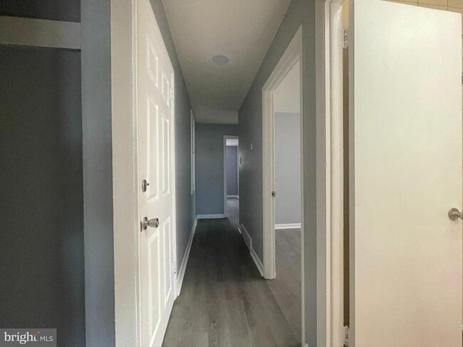 Building Photo - 2331 Hoffnagle St