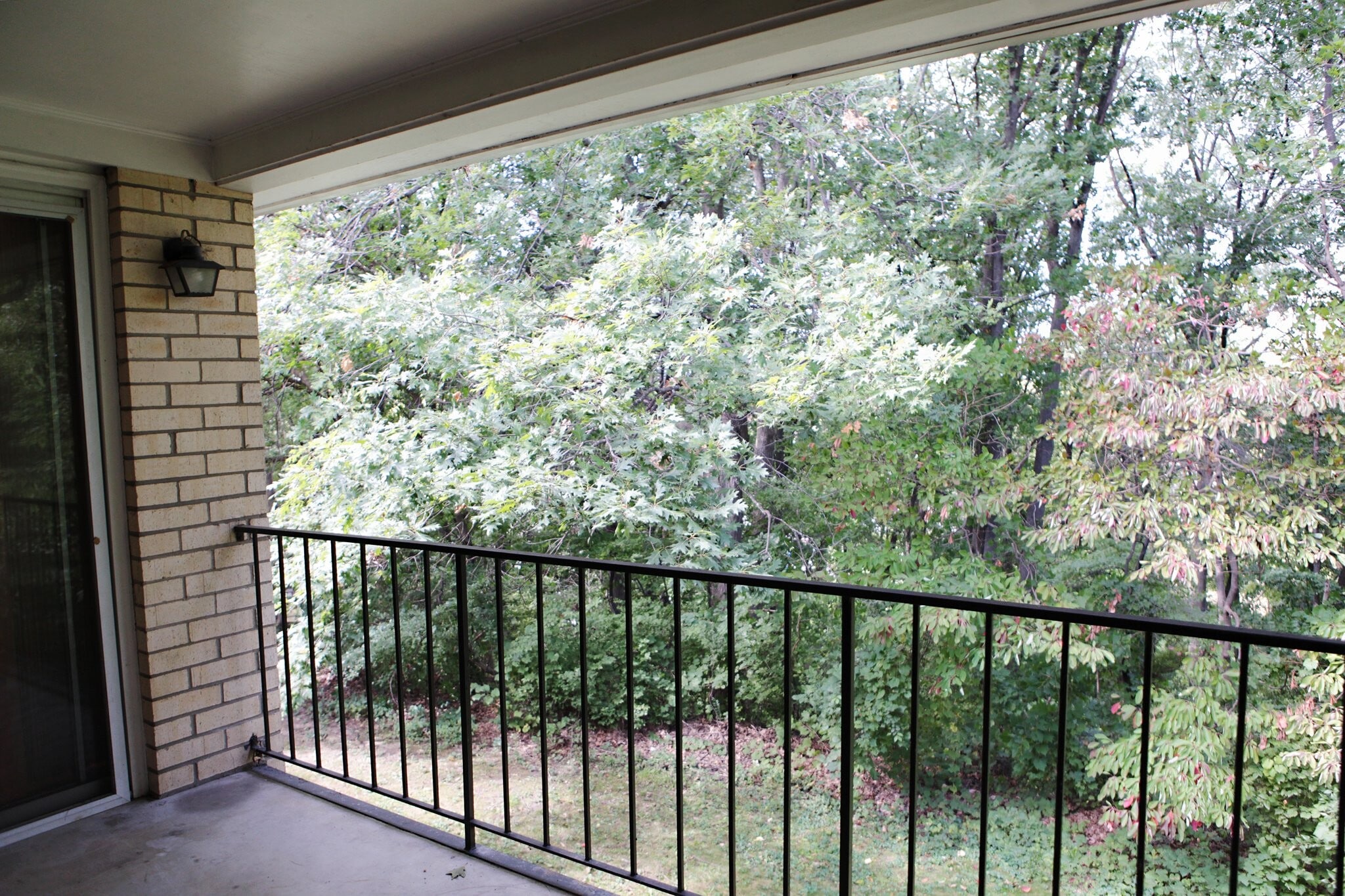 Balcony to deer path - 1841 Blanchard St SW