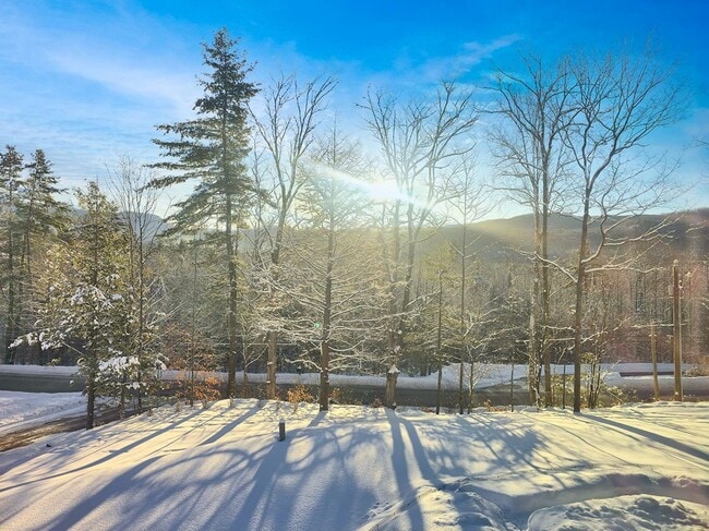 Building Photo - 253 Upper Mad River Rd