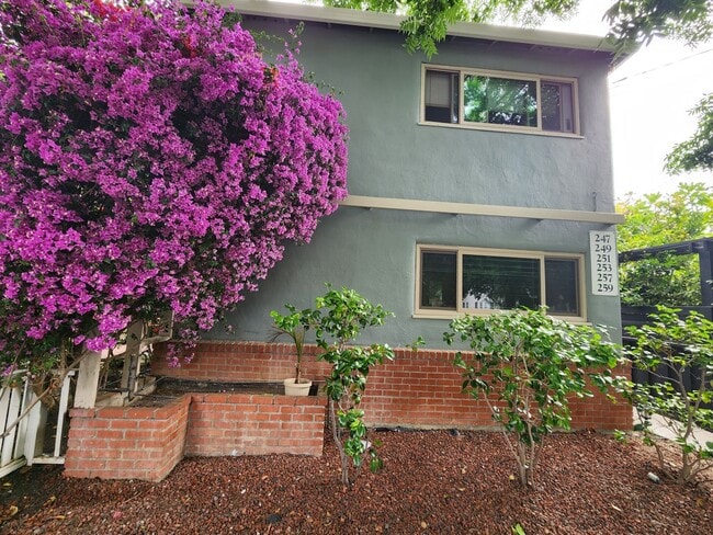 Building Photo - 247 Ramona St